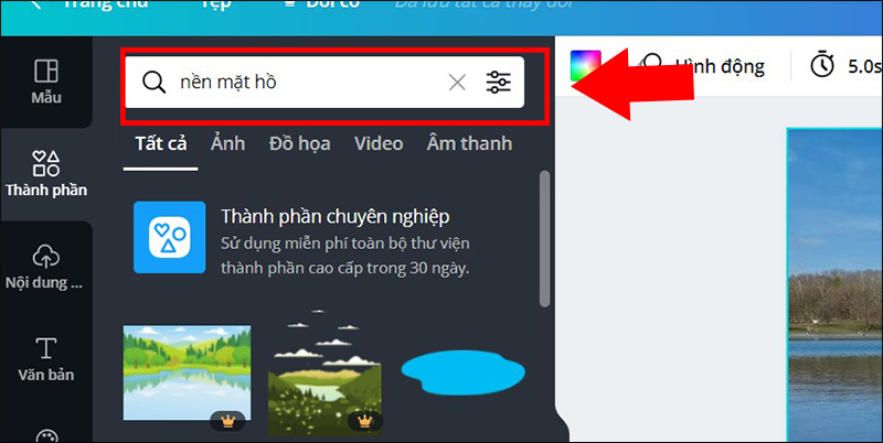 Chọn nền cho hình ảnh